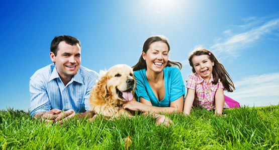 Eletroportáteis em Rurópolis